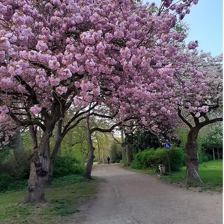 Appartement Mia Lübeck