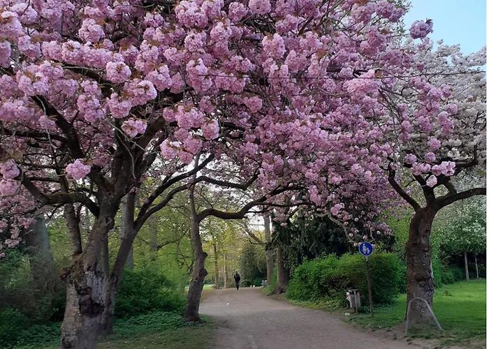 شقة Mia لوبيك